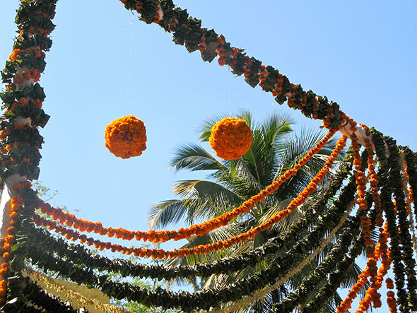 Spheres of mums
