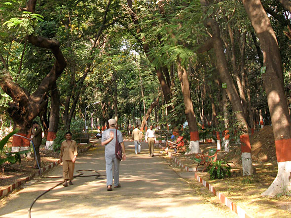Walking through the park on Holi morning.